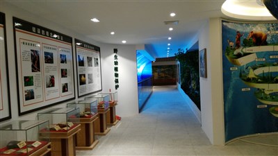 500平米展廳設(shè)計(jì)制作：現(xiàn)代/綠色，教育類展廳-桂林植物園科普展廳（免費(fèi)使用）